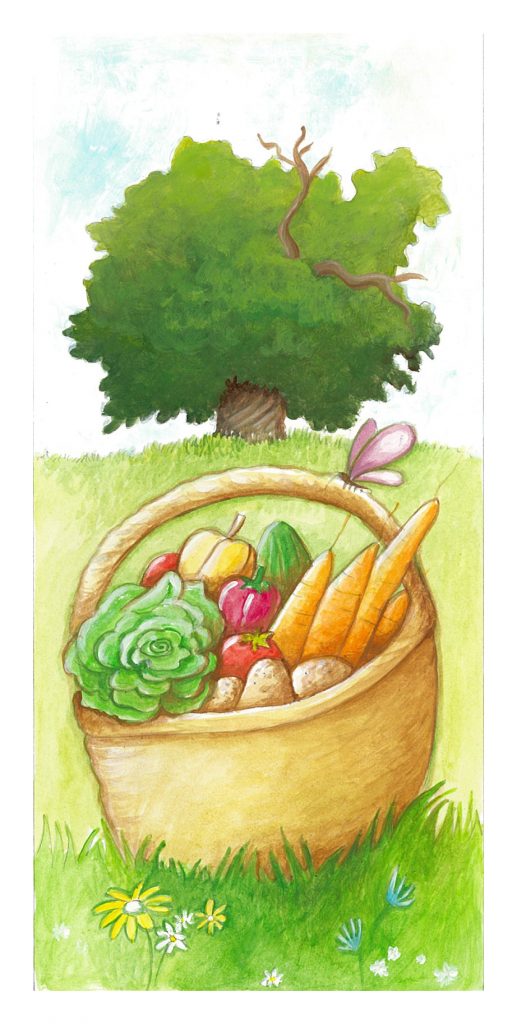 Aquarelle : le châtaignier et un panier de légumes de la ferme