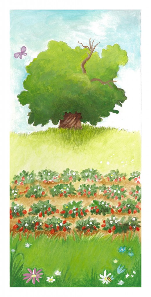 Aquarelle : le châtaignier au-dessus des rangs de fraisiers de la cueillette