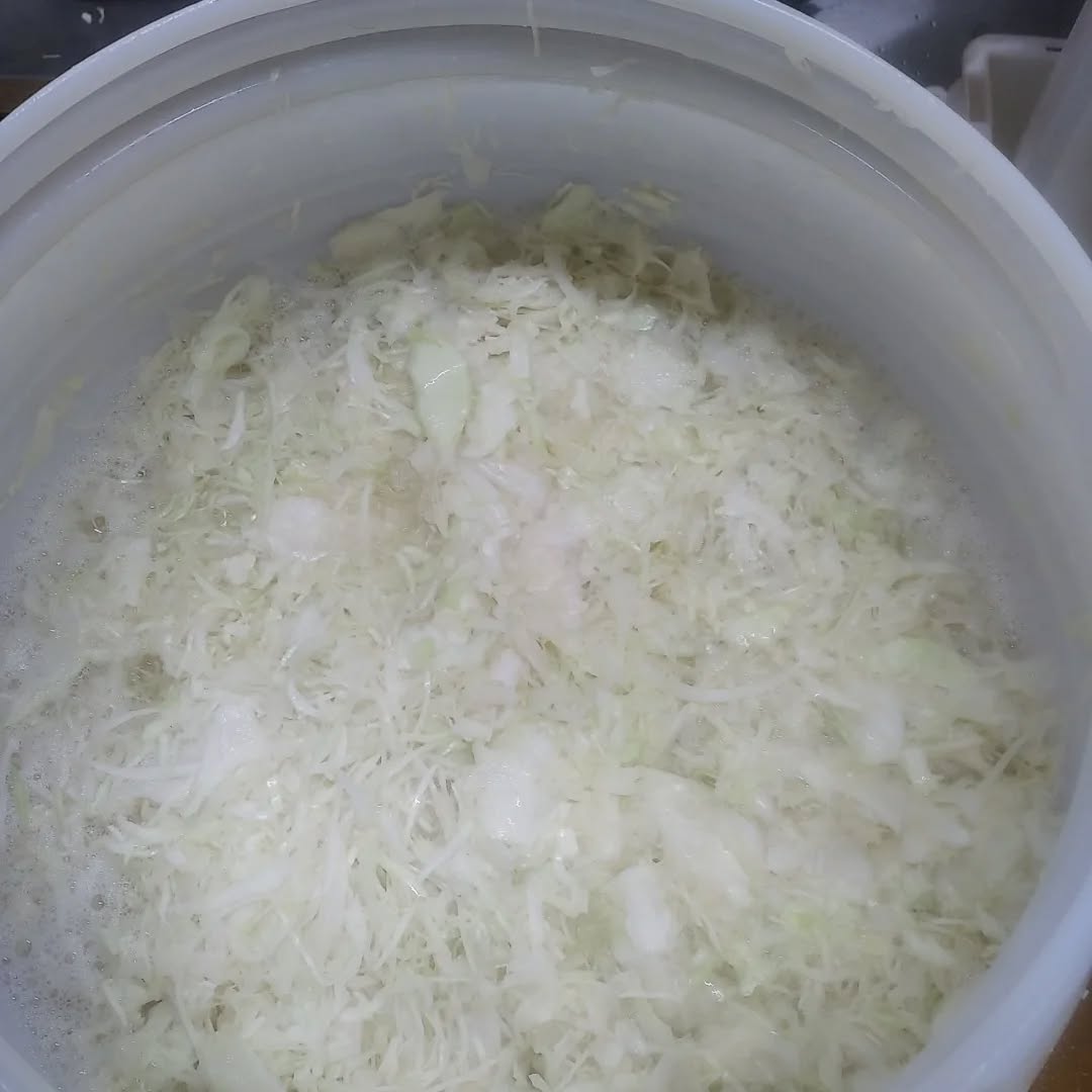 Journée lactofermentation à Pacé — Les Jardins du Châtaignier
