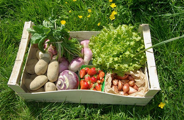 Cagette de légumes bio de la ferme